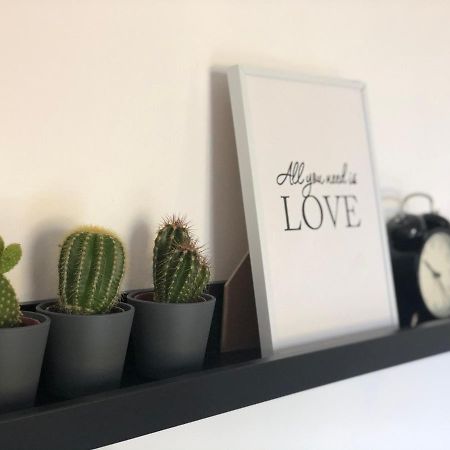 Apartman Spring Zombor Kültér fotó