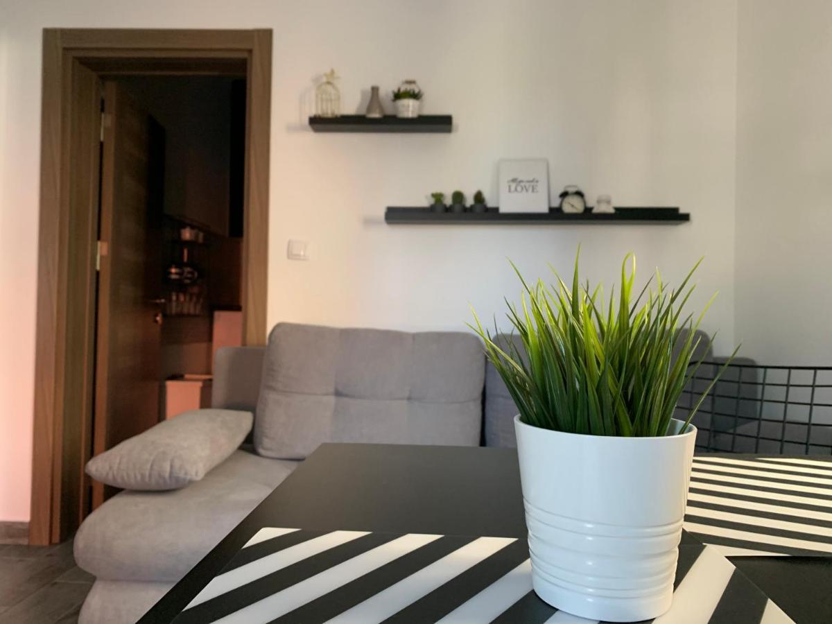 Apartman Spring Zombor Kültér fotó